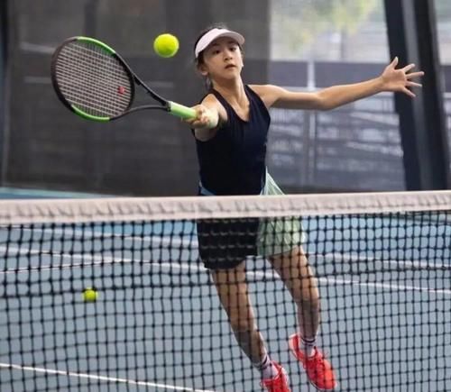 术特点与战 术特点与战