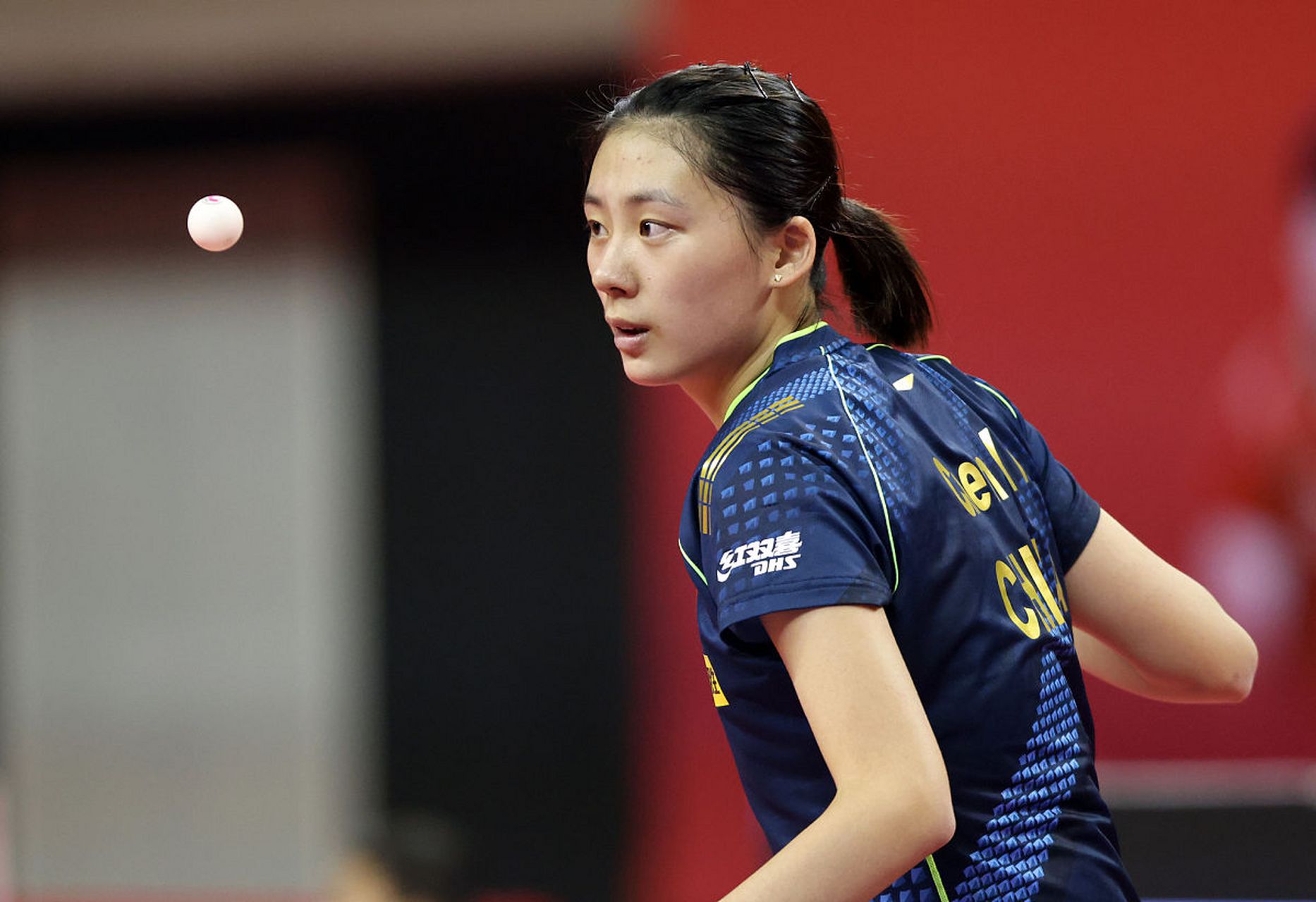 的对抗中 的对抗中