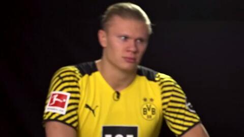 有针对性地 有针对性地